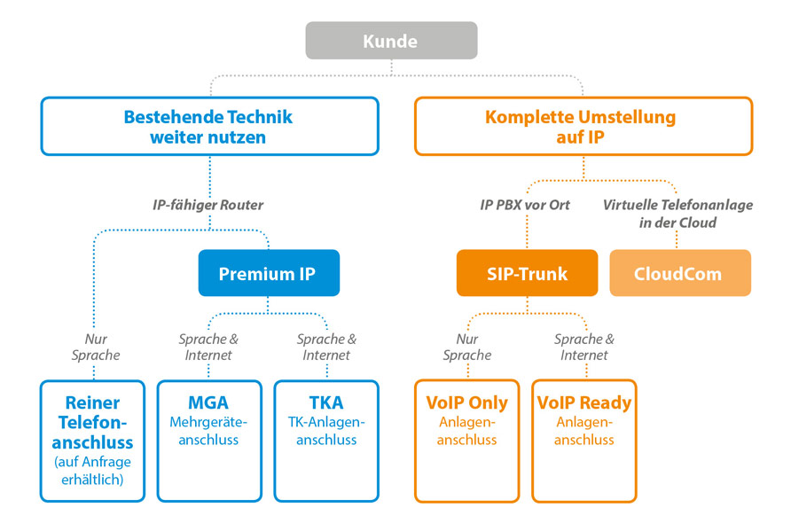All-IP-Welt Diagramm