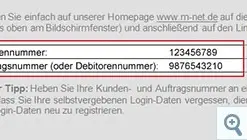 Kunden- und Auftragsnummer (oder Debitorennummer)