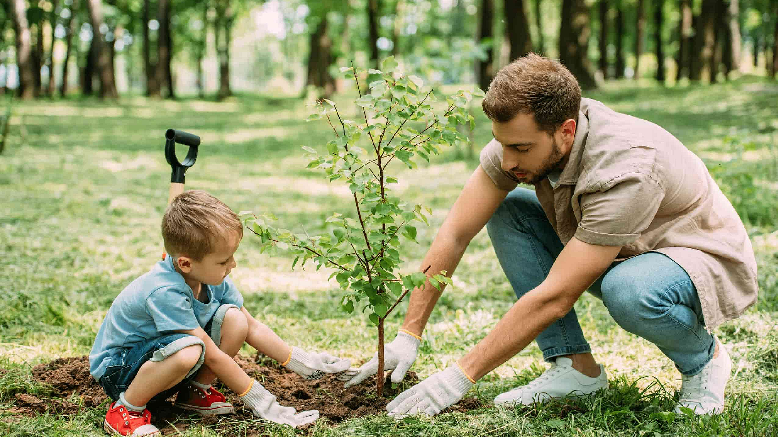 Ein junger Vater und sein kleiner Sohn pflanzen draußen einen Baum
