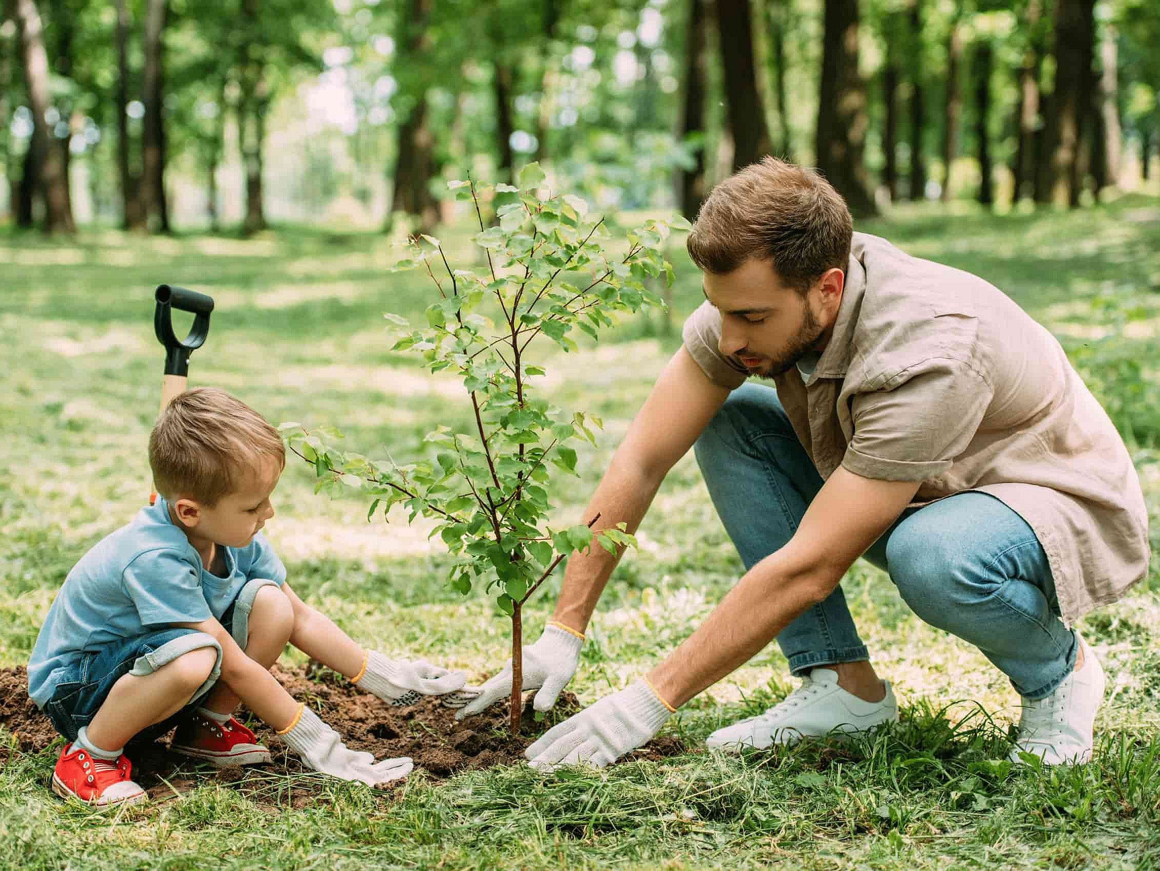 Ein Kind pflanzt zusammen mit seinem Papa einen Baum ein.