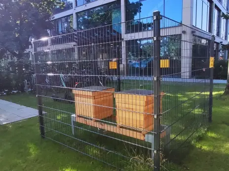 Bild der Bienenstöcke vor dem M-net Firmengebäude
