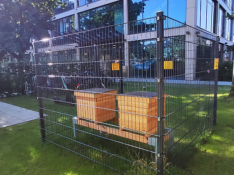 Bild der Bienenstöcke vor dem M-net Firmengebäude